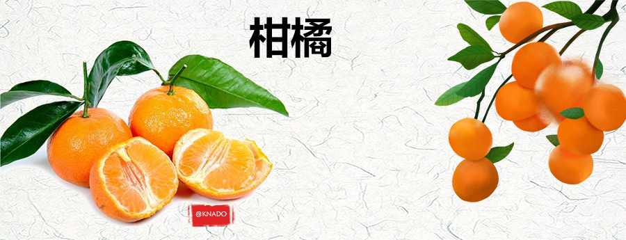 给孩子们赏析古典诗词里的柑橘上篇 楚国