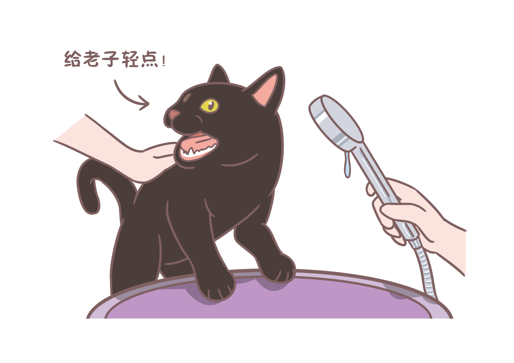 a1a0192760624167934a2562fc5e1d4f.jpeg
