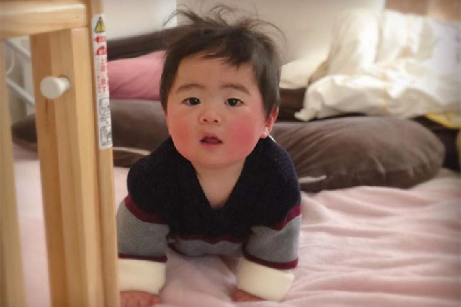 医妃权倾天下元卿凌全文阅读免费_斗罗大陆4终极斗罗求书阁_日本高清视频在线一本视频