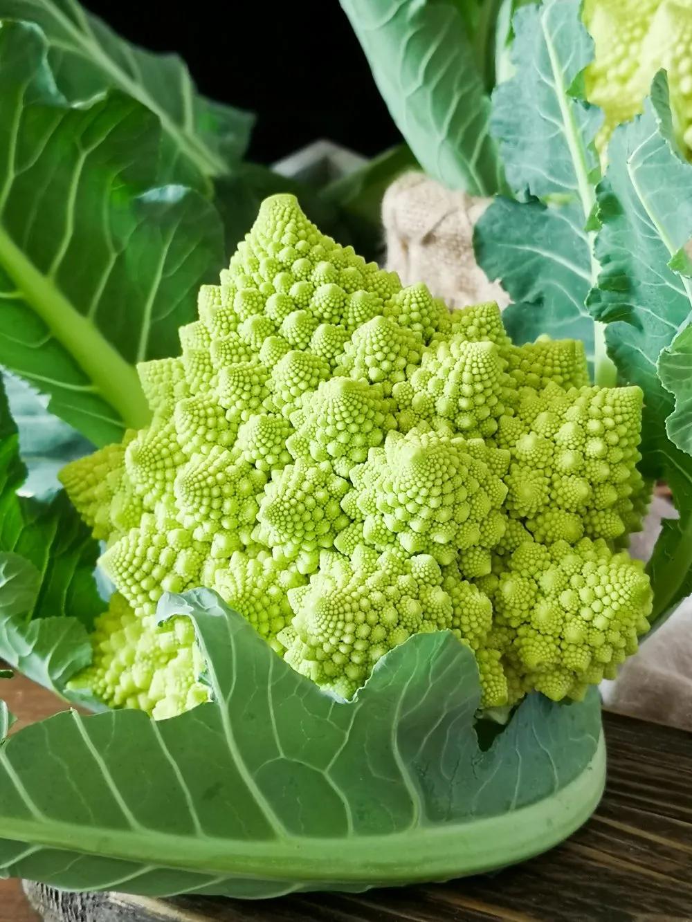 畅通渠道稳定市场顺义区李桥镇顺沿特种蔬菜基地全力保障供应