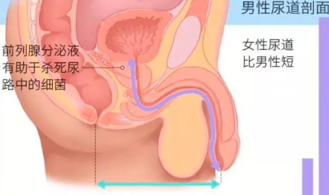 峦夜秀场_笑百合之家_西游记视频全集86版