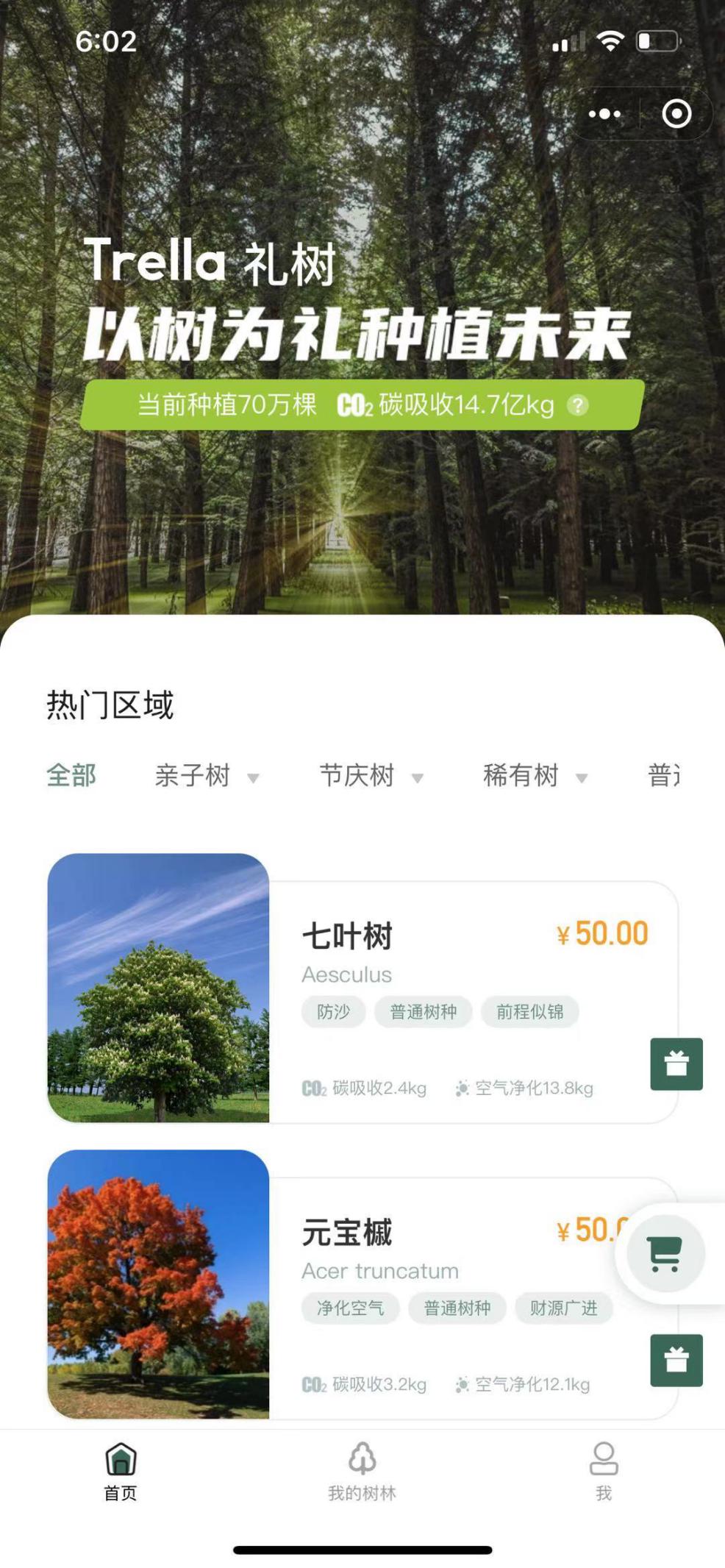 树木|Trella为何如此沉迷种树，疯狂普及树木？