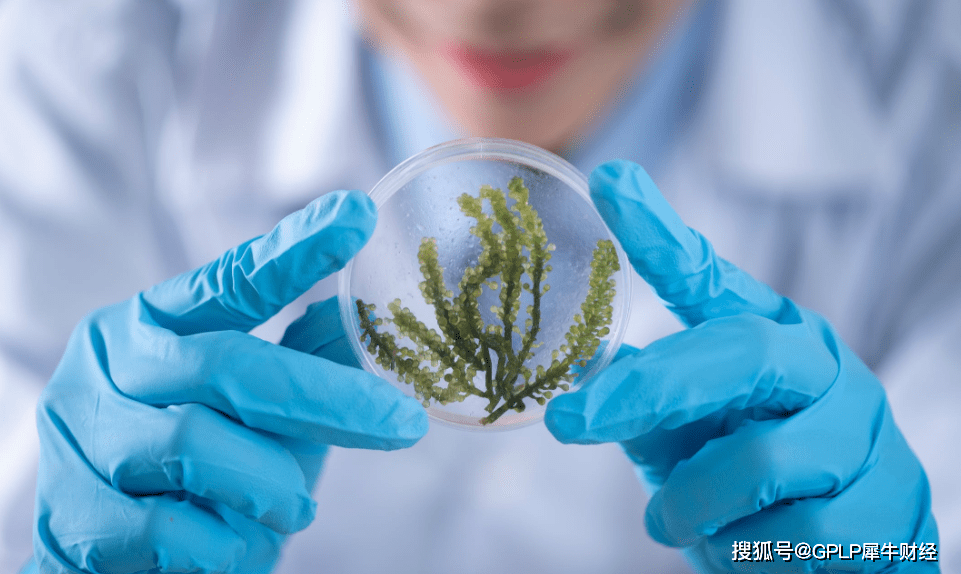 现金流吃紧IPO折戟 靠吃补贴的大地海洋能走