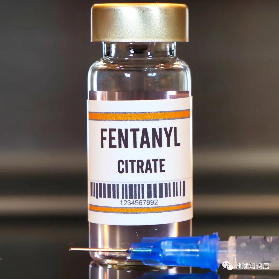 坐吃山空,毒品大亨也没有余粮了 | 地球知识局_美国