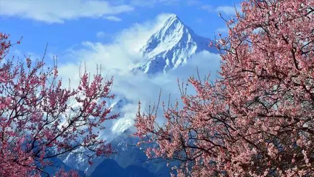 西藏“小江南”林芝，一到春天究竟有多美？