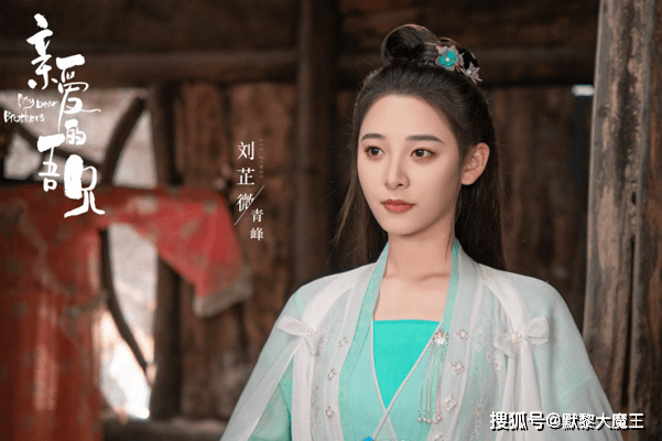 另外,这部剧还有赵文浩,张子健,刘芷微等年轻演员出演,都是颜值非常高