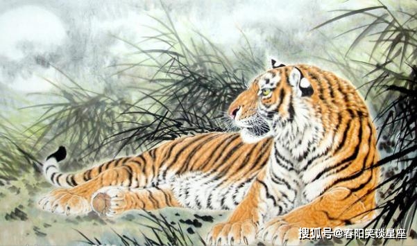 肖虎人对金钱不是很重视，他一生大财多多，小财不断，日子过得很滋润。