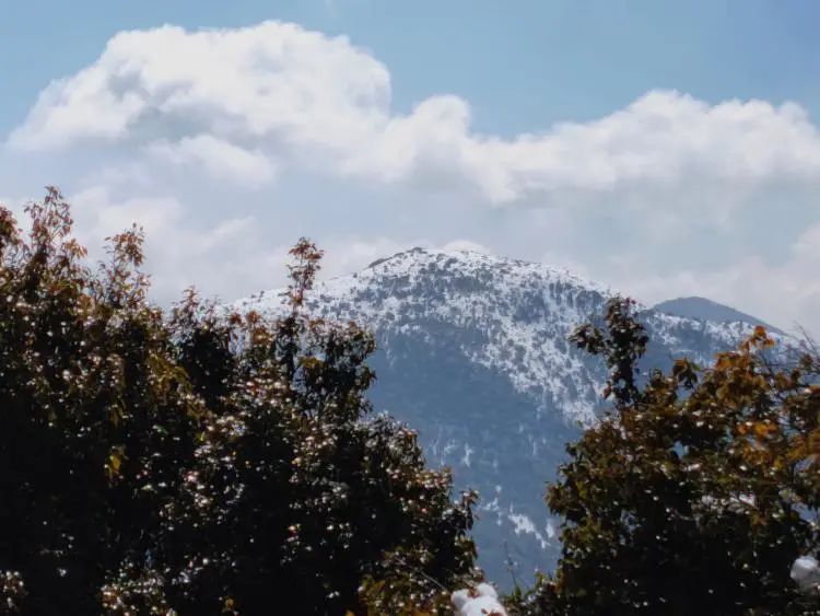 文山州这里下雪后，美如仙境……