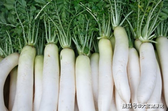 什么时间种白菜和萝卜好 ac6f40afb8fd46cea7af58355c430cd9.jpeg