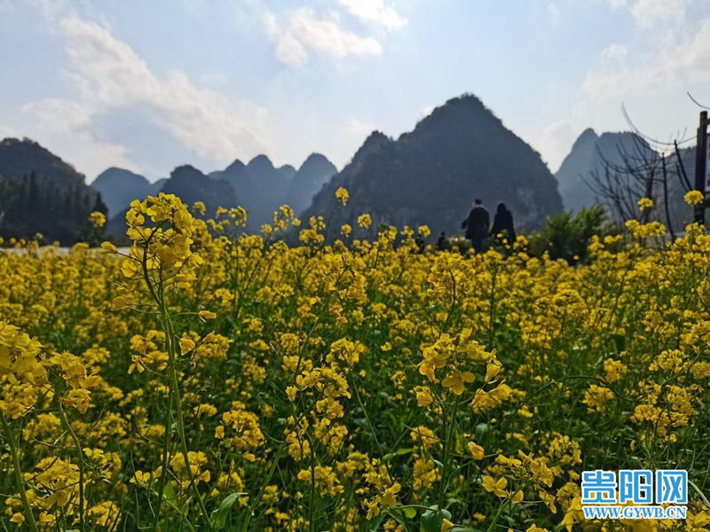 大年初三贵州阳光普照，游客出游热情高涨