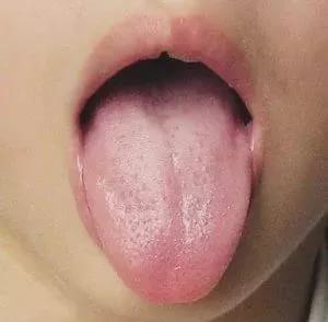 613bb6ffb92d4dc3bb18736df650e3d7.jpeg