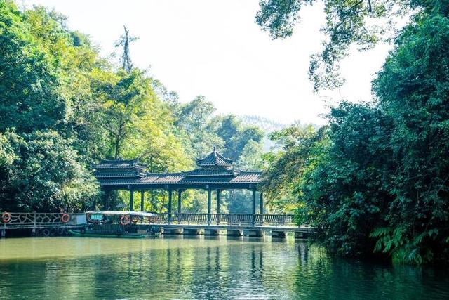 柳州有个超纯净的景区，流水潺潺是天然氧吧，快来此体验原始生活