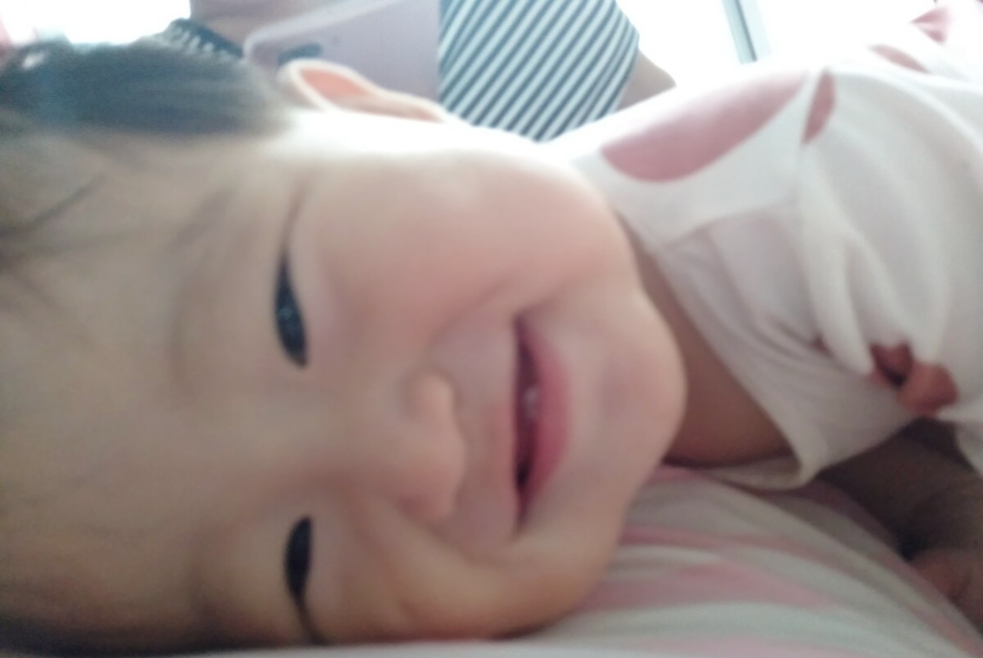 怎么看小鸟的眼睛聪明不聪明