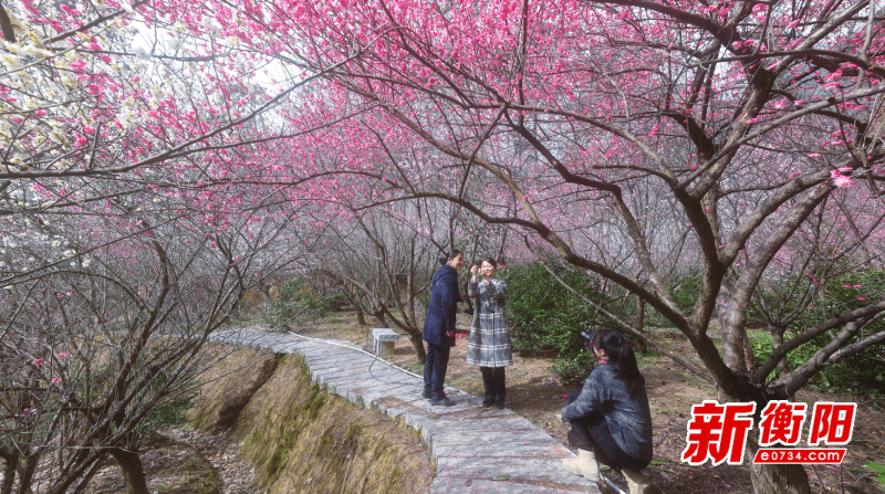 新春走基层：衡阳周边游受青睐 市民竞相“打卡”乡村花海