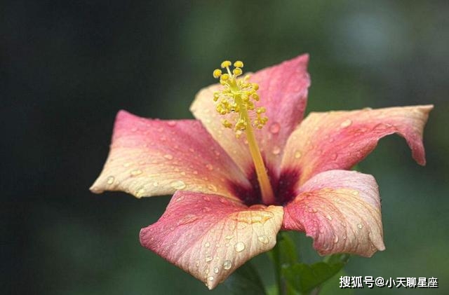 2月号21号22号23号24号有望摇身变富豪 财源滚滚聚财八方 不差钱的3生肖 贵人