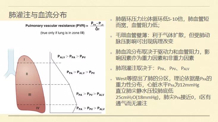 全身麻醉时,我们使用麻醉机不仅为患者提供麻醉,还在进行呼吸治疗.