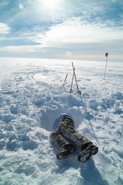科学家再次沸腾古生命迹象被发现后南极冰盖中又出现不明生物