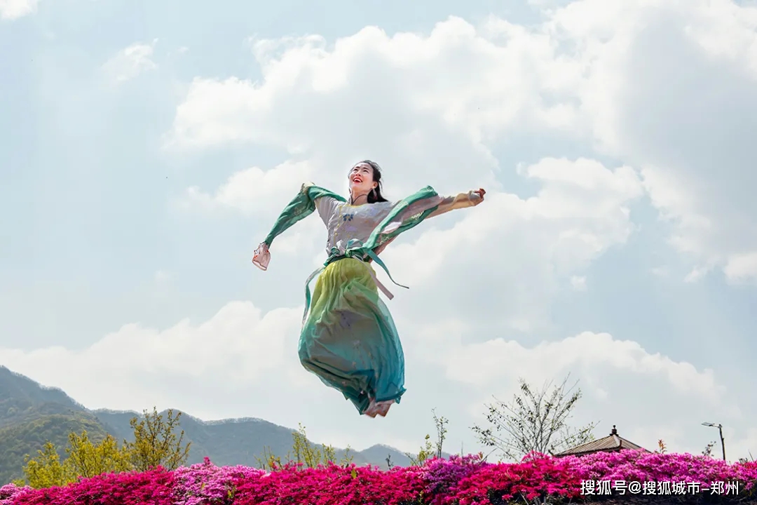 倒计时！里仁芝樱花海即将迎来新一年盛花期