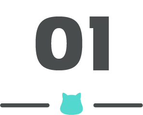92b38b620d984da6b07207fbe21491c9.png