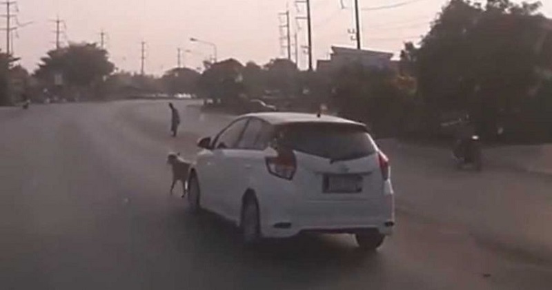 疯狂猜成语一个老人一只狗一辆车_一的成语疯狂猜成语图(2)