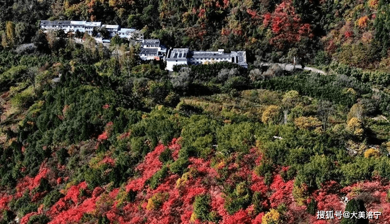 乡愁萦魂——上陶峪村概况