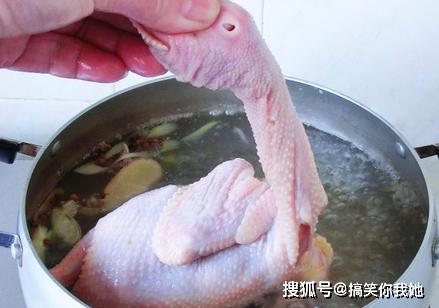 哪里买正宗的白切鸡 69013529480f48d89275b3760073dac6.jpeg