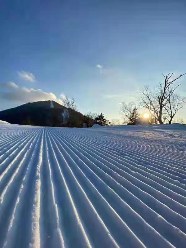 “爱在冰城滑雪时”随手拍：记录乘风驭雪的满满幸福