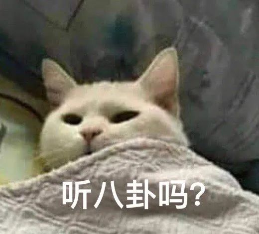 7f2b74bb5dd84e1d98724c74fa211297.jpeg
