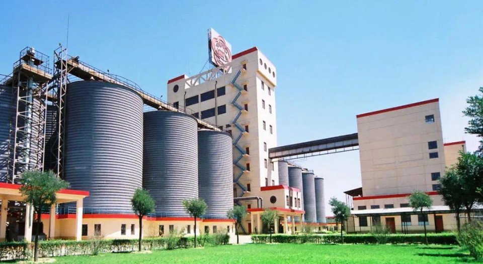 市值3000亿,山西第一股跌停:汾酒老大何去何从