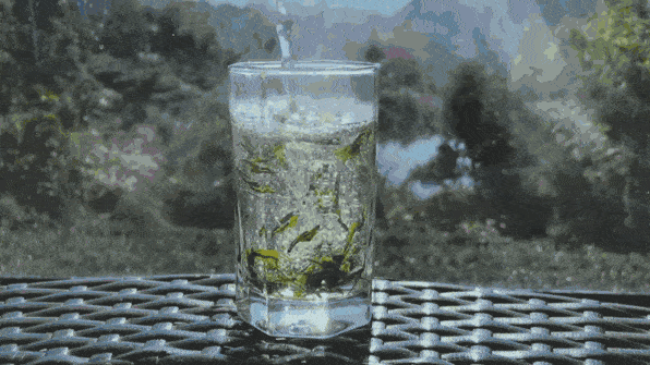 596_335gif 动态图 动图