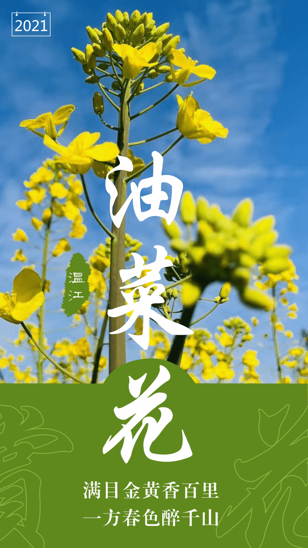 成都市温江区赏花地图上线，带你看“花花世界”