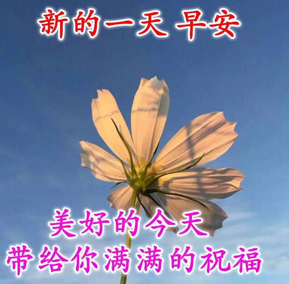 2021最新早上好动画漂亮表情图片牛年大吉早安问候图片大全