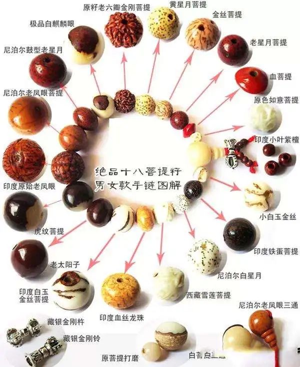 星月菩提在佛家被称作"坚固子",灰白色的菩提果上遍布黑色点点,仿若星