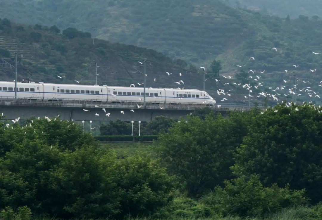 丽水地区有多少人口_躲开秋老虎 雁荡山最美摄影之旅报名中 来就送礼 送钱