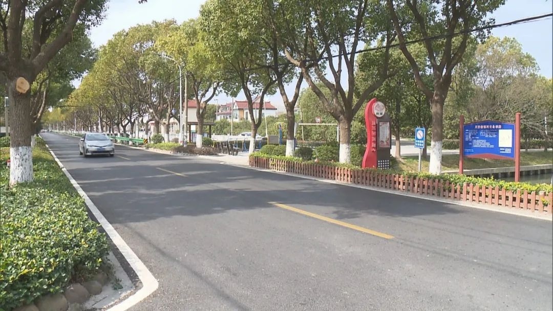 有绿化/商业……浦东这条道路改造升级，串起了多个网红打卡点！