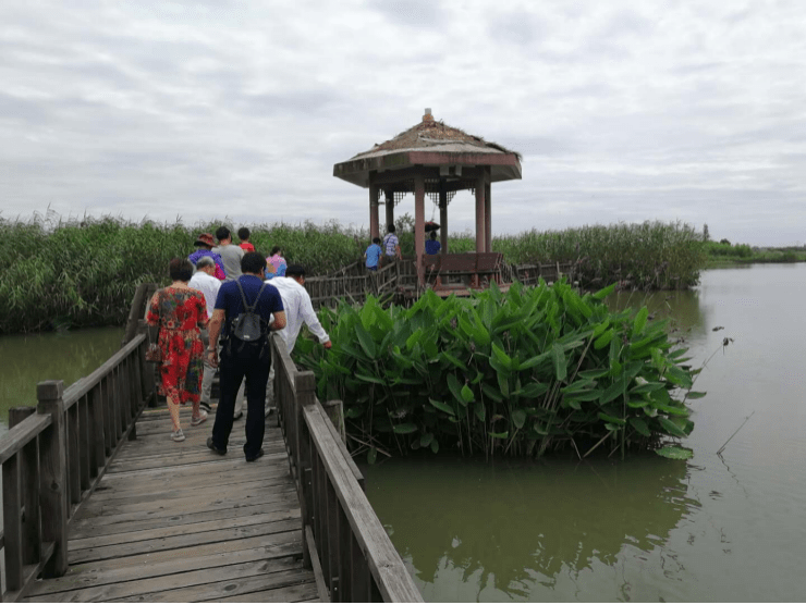 大驾旅行小朱自驾——莫干山下渚湖2日游