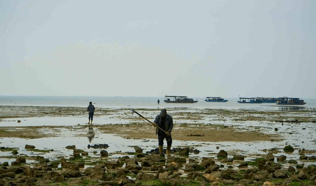 实拍广西北海的小渔村，旁边就是北部湾一号，渔民赶海景色美