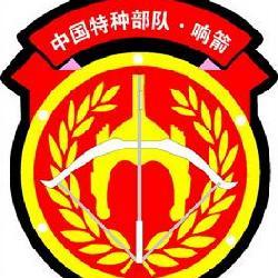 中国特种部队logo图片