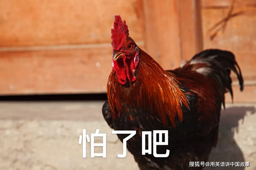 什么烛夜游的成语_乐山的夜游三江是什么(3)