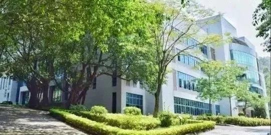 文章配图-11