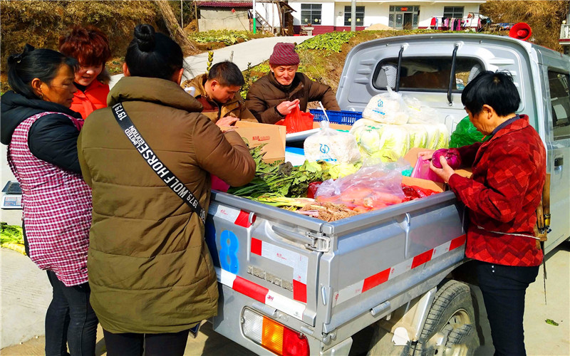 原创5万元投入现在做哪些小生意项目一年可以收入10万元以上