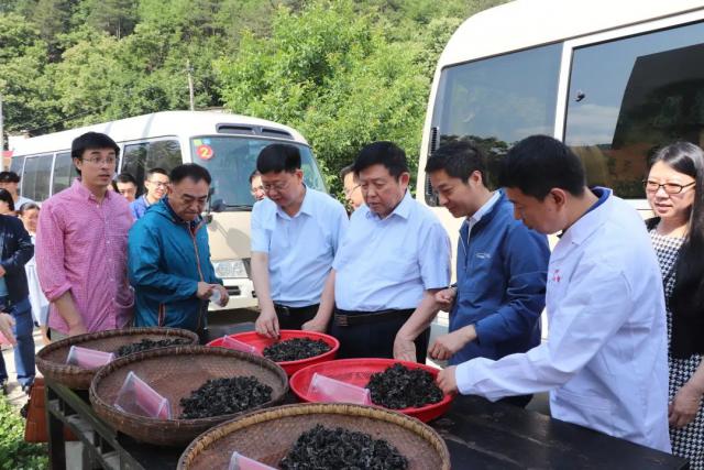 中國工程院院士吉林農業大學教授李玉榮獲全國脫貧攻堅楷模榮譽稱號