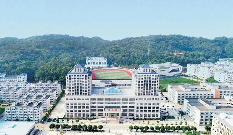 文章配图-101