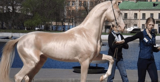 土库曼斯坦一场大火烧了近50年损失超百亿为什么不灭了它