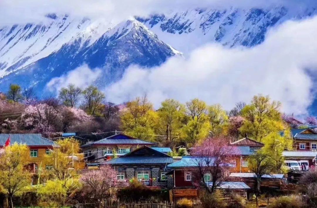 西藏的春天，是我们梦中的桃花源