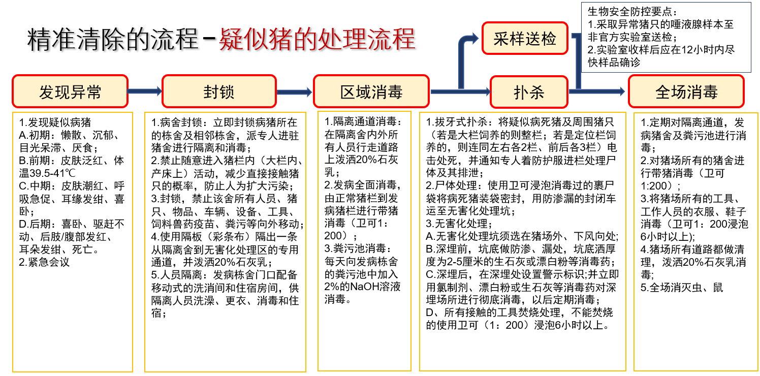 非洲猪瘟究竟有多可怕?9天就能毁掉你的猪场!