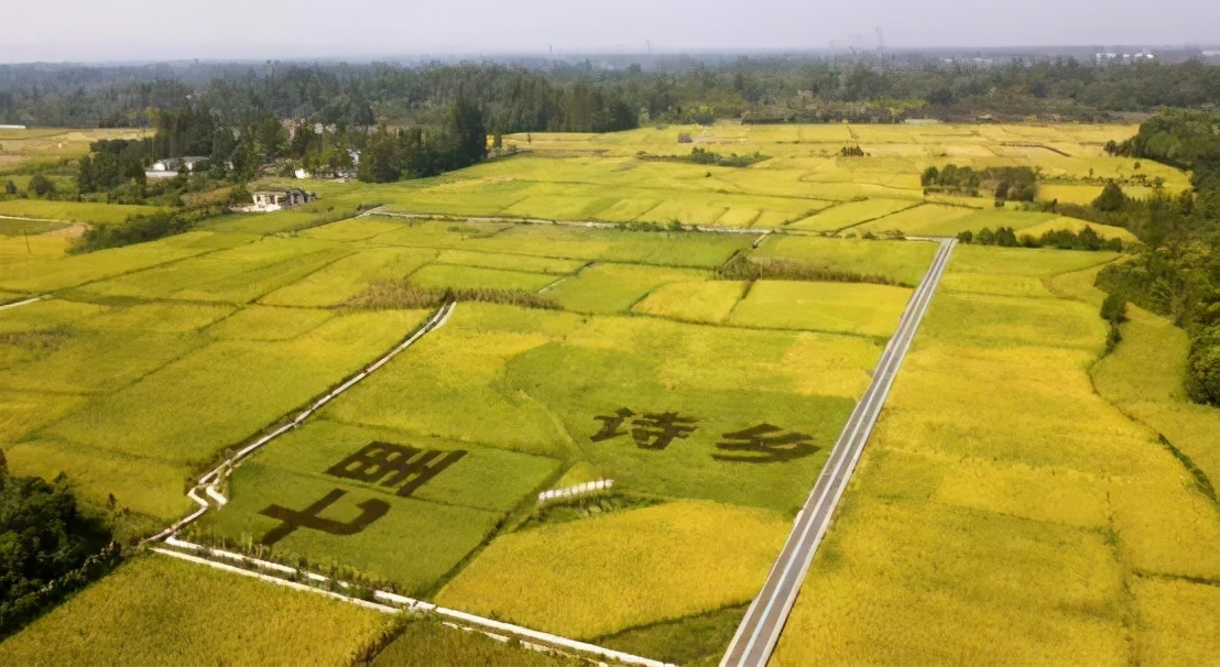 收好这份成都乡村旅游攻略，周末追风去吧