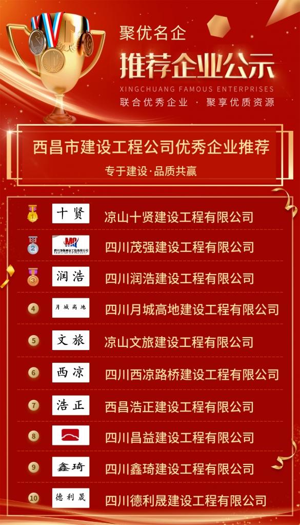 四川监理公司排名(2)