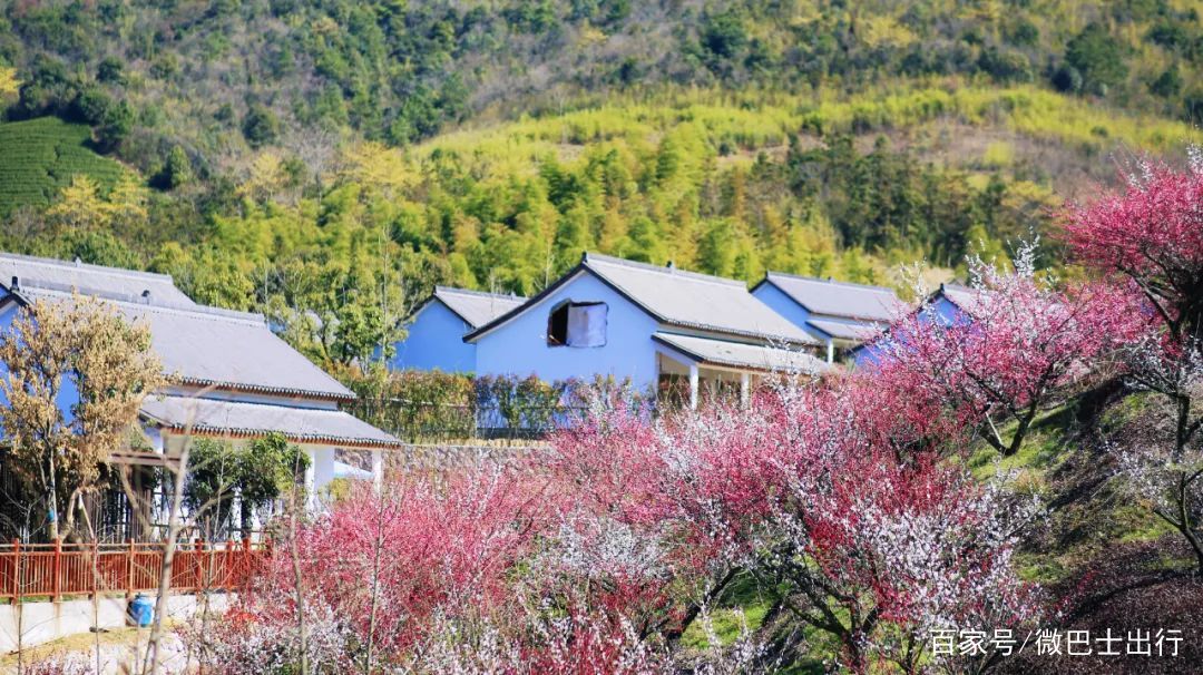 跟着巴士去打卡｜女神节倒计时！为她准备一次宠爱之旅