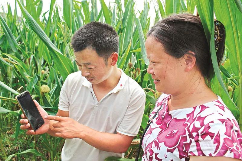 中国扶贫新力量：电商下乡，农业上行-锋巢网